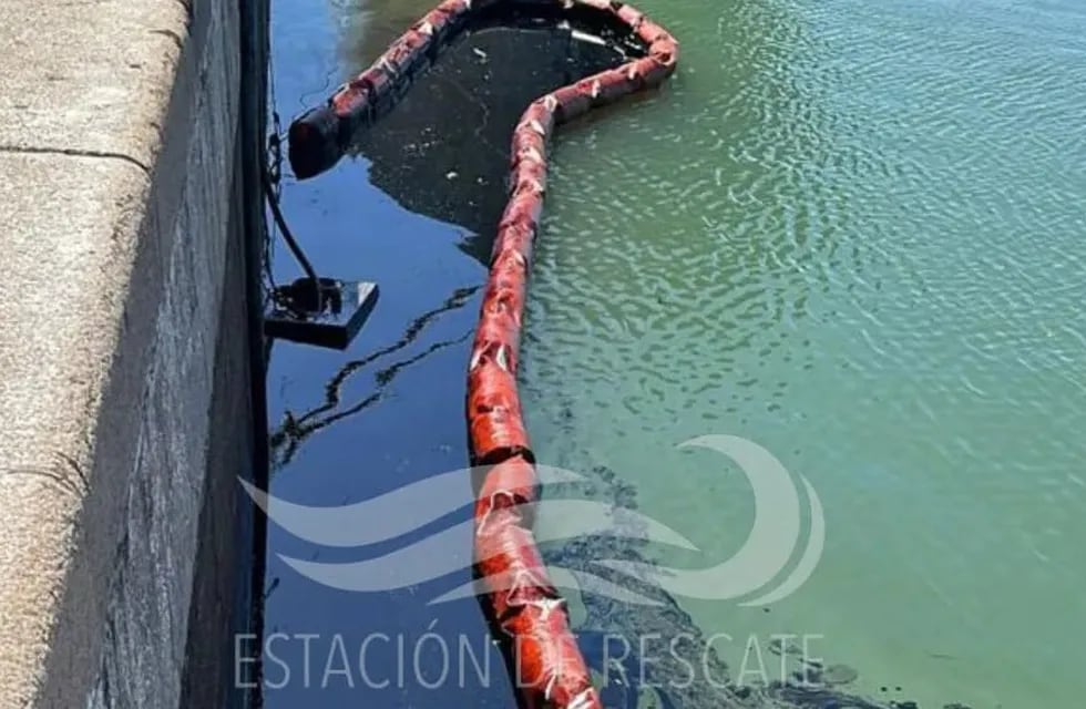Denuncian un nuevo derrame de hidrocarburos en Puerto Belgrano. Foto: Estación de Rescate de Fauna Marina Guillermo "Indio" Fidalgo