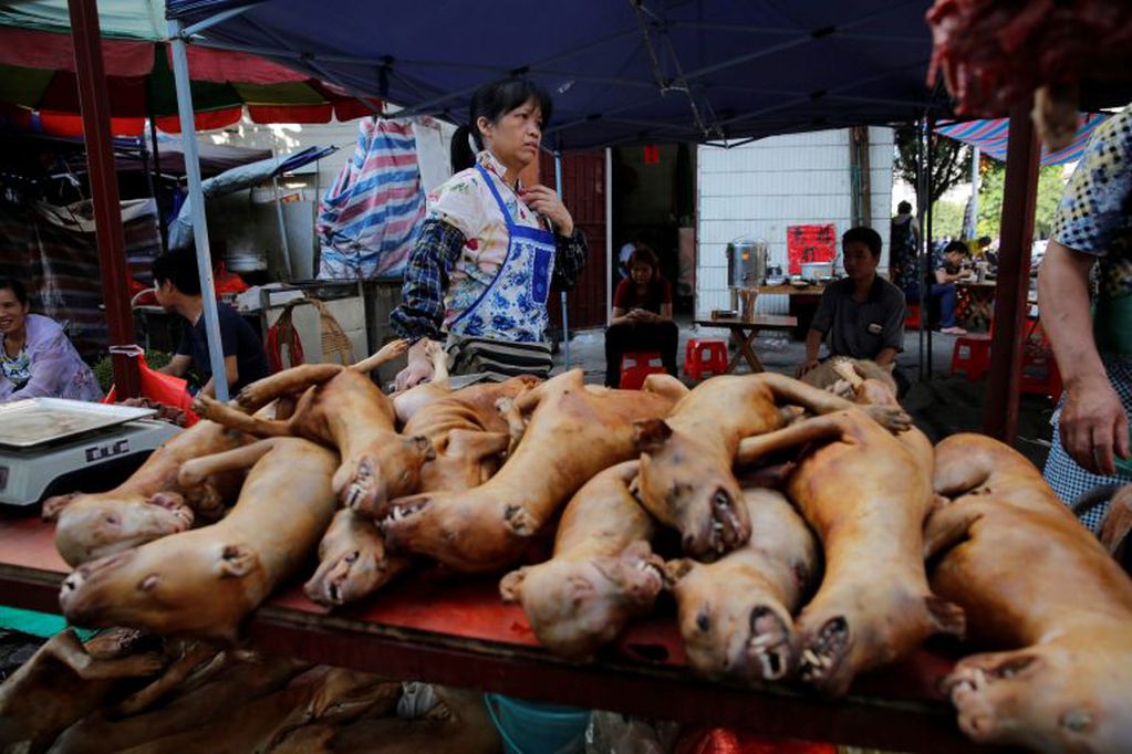 Una comerciante vende carne de perro en un mercado de la ciudad de Yulin, provincia Guangxi, China (Foto: EFE/Wu Hong yulin)