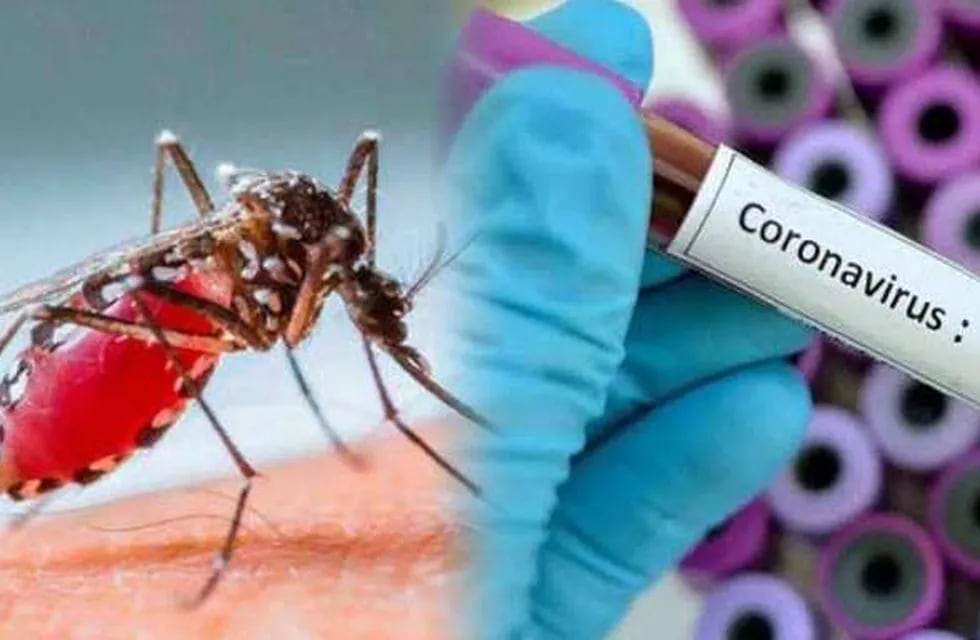 La Rioja sin casos de coronavirus y con 1032 personas con dengue