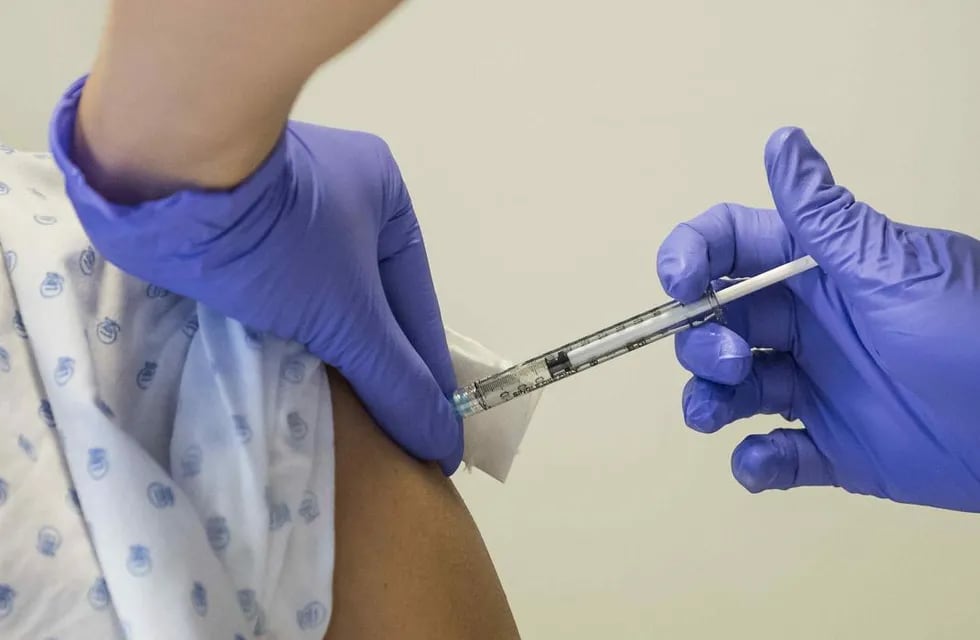 RECOMENDACIONES. La vacunación contra la fiebre amarilla está recomendada para varios destinos brasileños. (AP)
