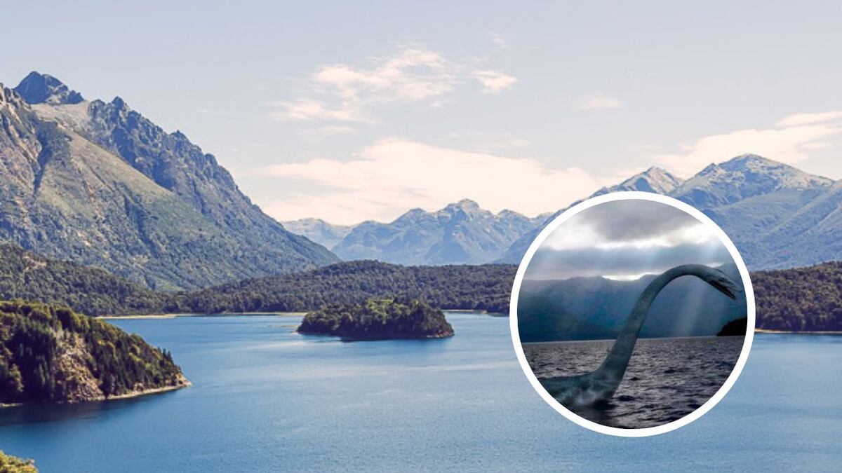 Un grupo de turistas se asombró con un extraño movimiento que vieron en el Lago Nahuel Huapi