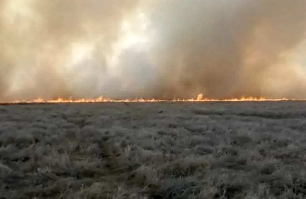 Dueño de 700 hectáreas vecinas al campo de Batistuta denunció quema intencional. La Nación)