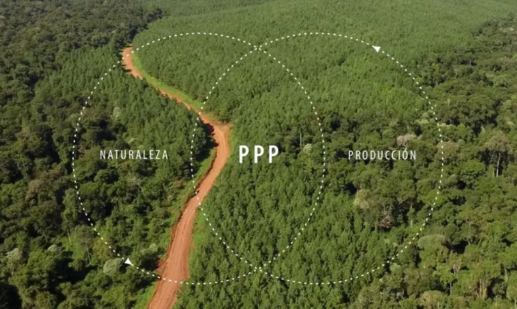 Puerto Iguazú | Se realizará el Encuentro Anual de Paisaje Productivo Protegido