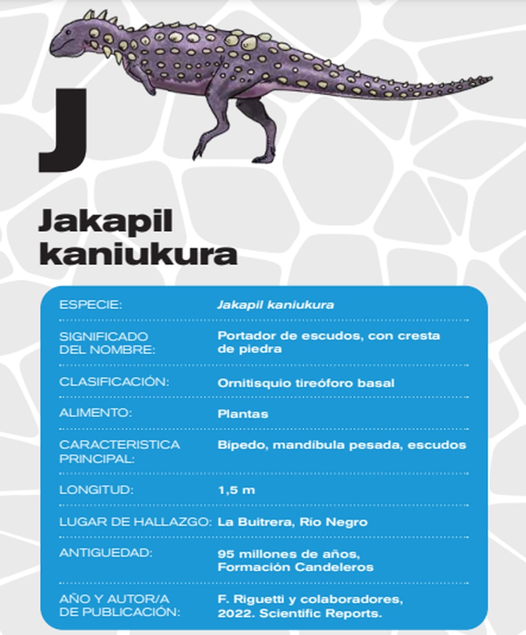 El Jakapil kaniukura es el último dinosaurio descubierto en Argentina.