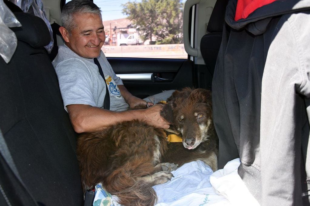 Una pareja de Chaco consiguió trabajo en el Sur y para no abandonar a sus mascotas hicieron dedo.