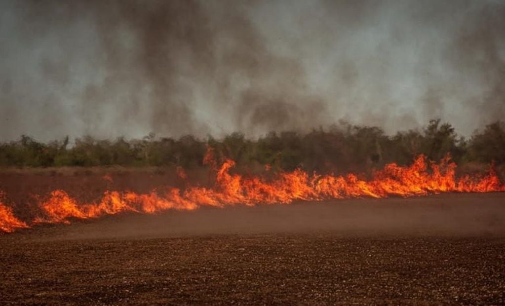 Las quemas son uno de los principales problemas en la región desde hace casi un año. (Carlos Salazar)