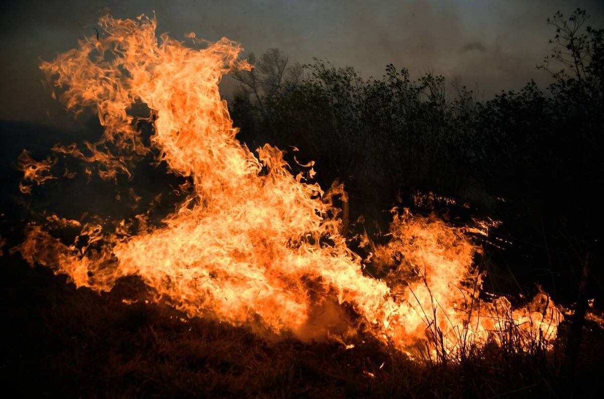El fuego y el humo de los incendios en las islas del Delta del río Paraná se propagaron cerca de la Ruta Nacional 174, el camino del puente Rosario-Victoria.
