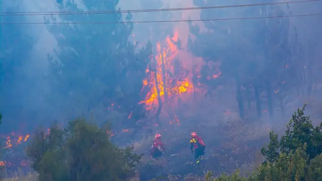 Incendio forestales en Chubut.