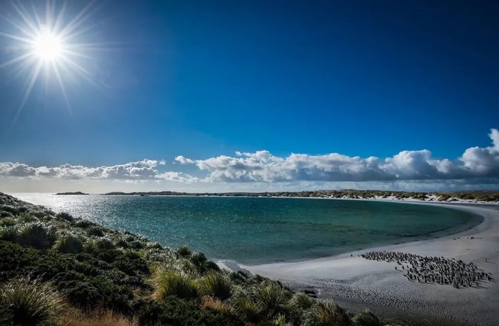 El paisaje de Yorke Bay, con sus arenas blancas y sus pingüinos. Sospechan que la playa estaría minada.