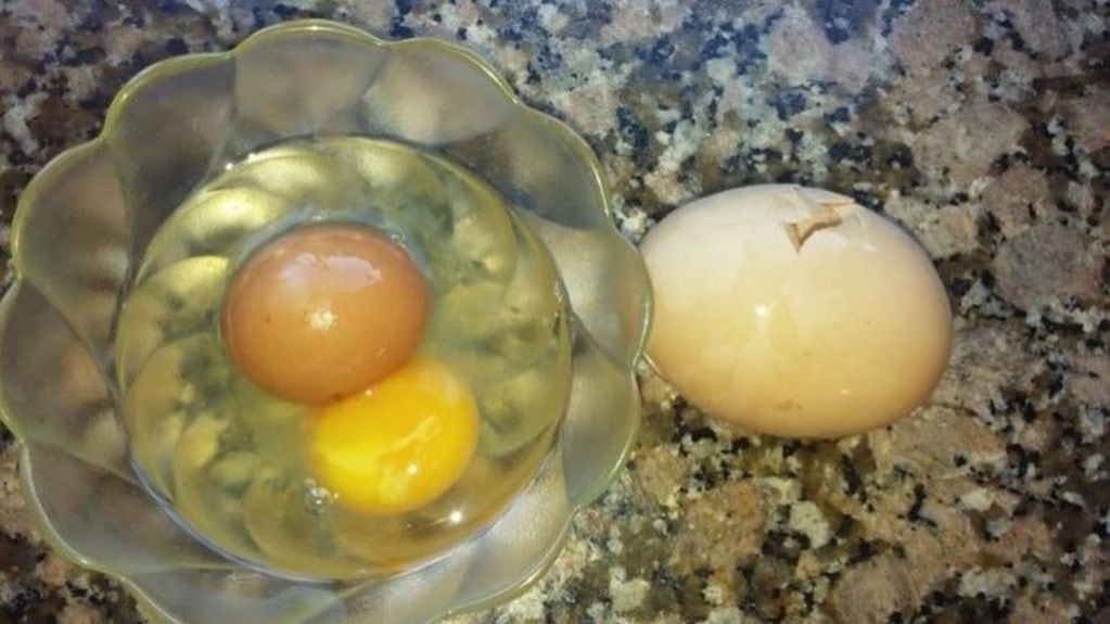 Una entrerriana encontró un huevo gigante de gallina