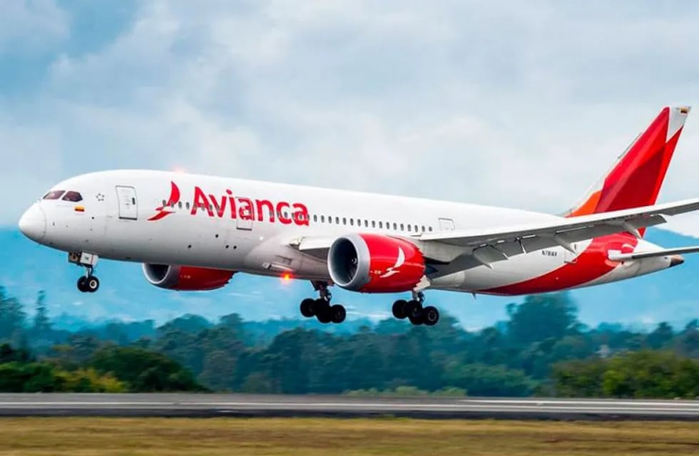 El hecho ocurrió en un vuelo Punta Cana- Buenos Aires con conexión en Lima.