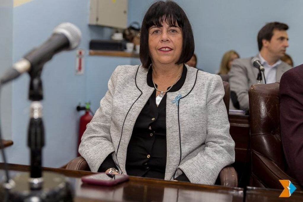 Vicepresidenta 2ª de la Cámara, Liliana Martínez Allende.