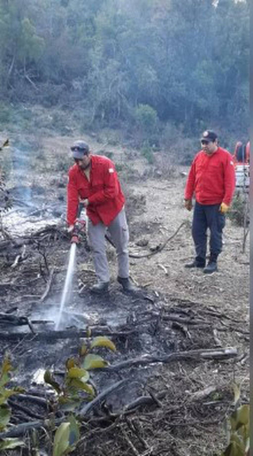 Los bomberos combatieron el fuego en distintos focos de Chubut.