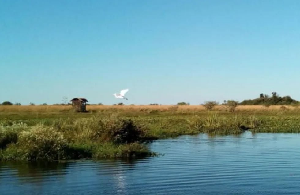 Imagen archivo. Los Esteros del Iberá hubiesen sido entregados a manos extranjeras  si se aprobaba el proyecto de ley.