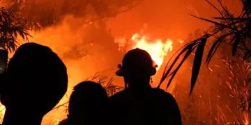 Alerta por incendios en Misiones: solamente el lunes se registraron más de 30 focos en 15 municipios