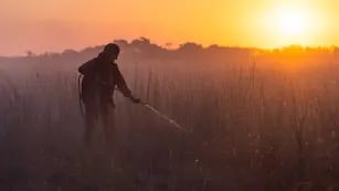 El fuego en Corrientes afectó más de 31.000 hectáreas y podría continuar avanzando hasta abril