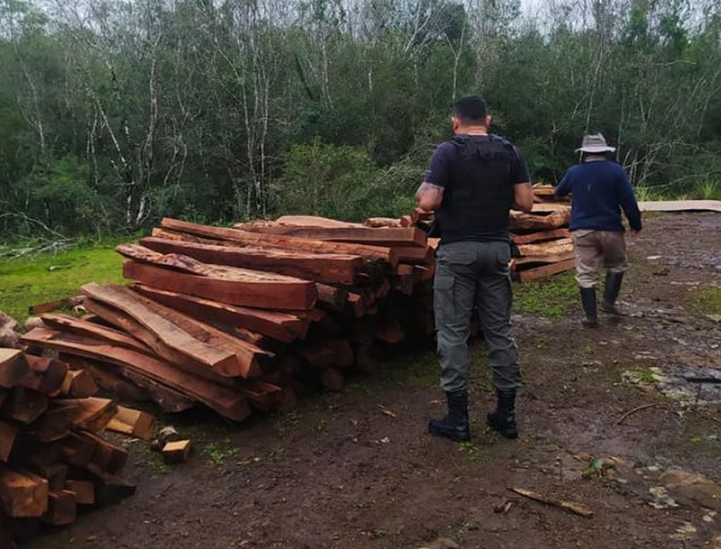 Incautan madera nativa en Cerro Corá.