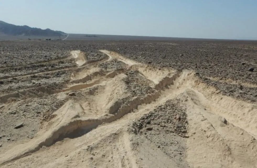 Un camionero pasó por las Líneas de Nazca