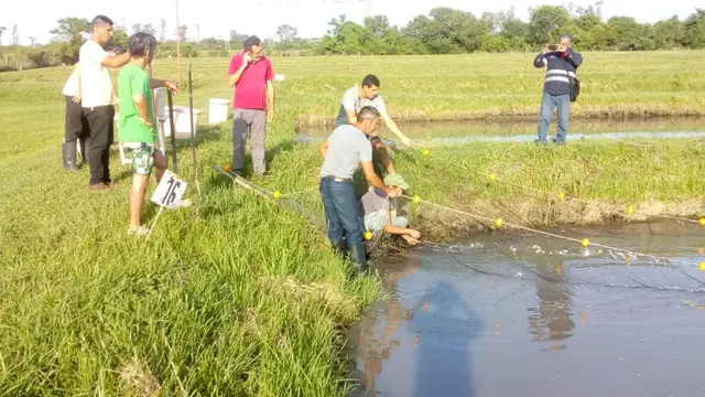 Capacitación en producción acuícola en la comunidad Yryapú