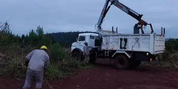El saldo de la tormenta en Puerto Libertad: caída de postes y líneas eléctricas en zonas rurales