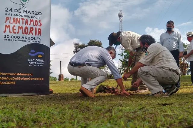 Plantaron ejemplares de lapachos en diferentes puntos de Iguazú, para recordar a los treinta mil desaparecidos de la dictadura
