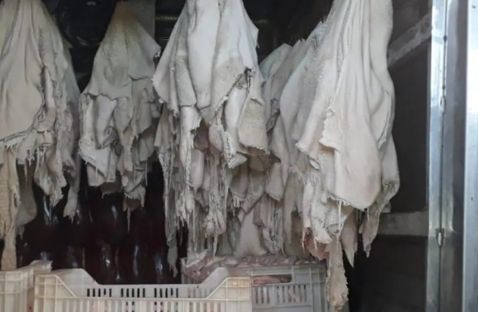 Clausuraron una carnicería sanjuanina por vender mercadería en mal estado. Foto: Gobierno.