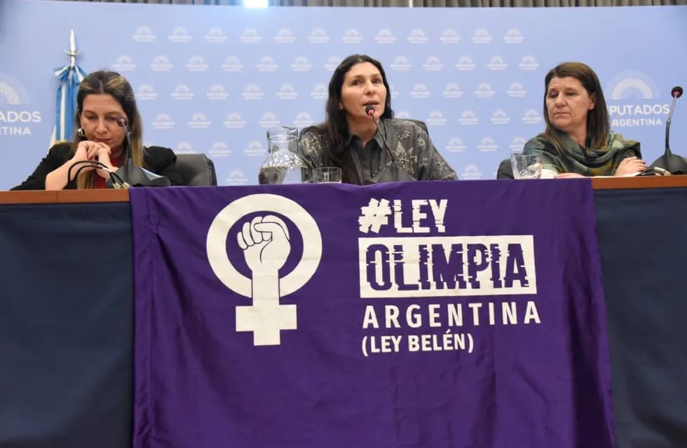 La diputada Mónica Macha (centro), al encabezar el debate por la "Ley Olimpia". Foto: HCDN.