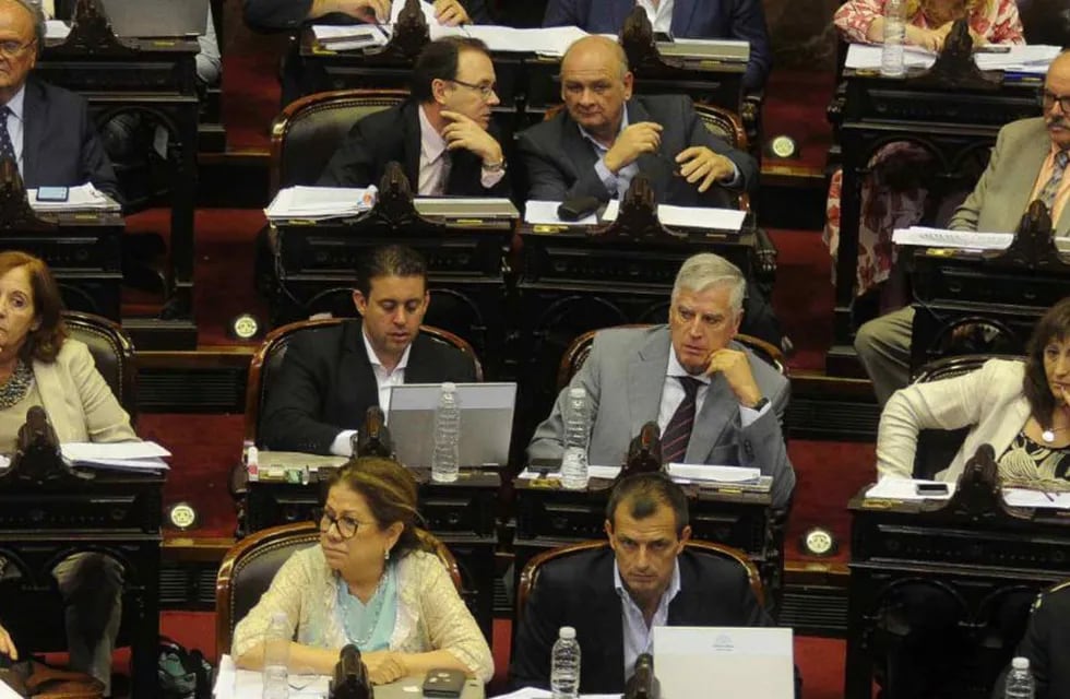 Los diputados del "centro" fueron decisivos en las votaciones (Federico López Claro/Archivo)