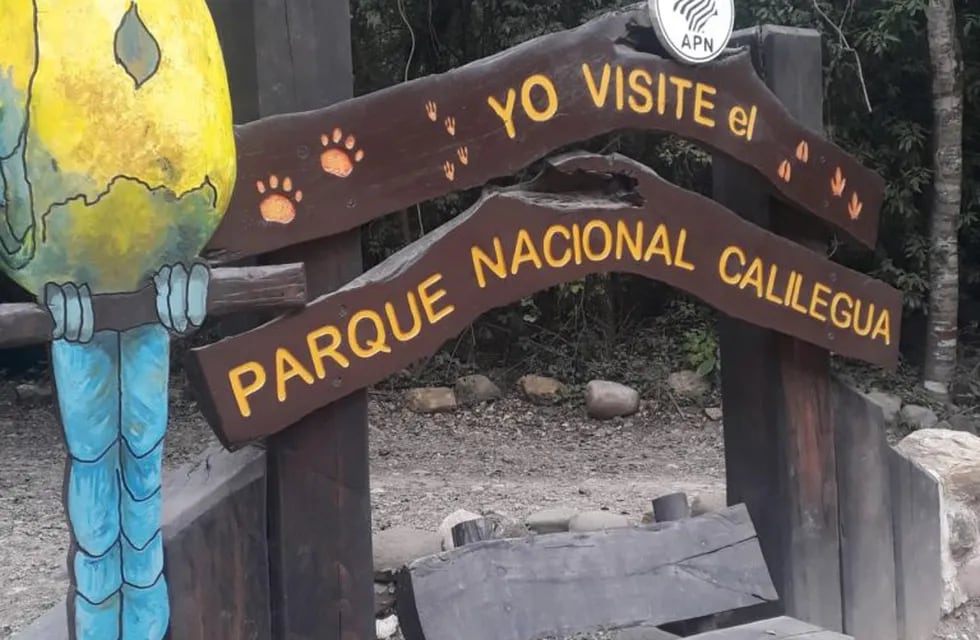 Visita al Parque Nacional Calilegua