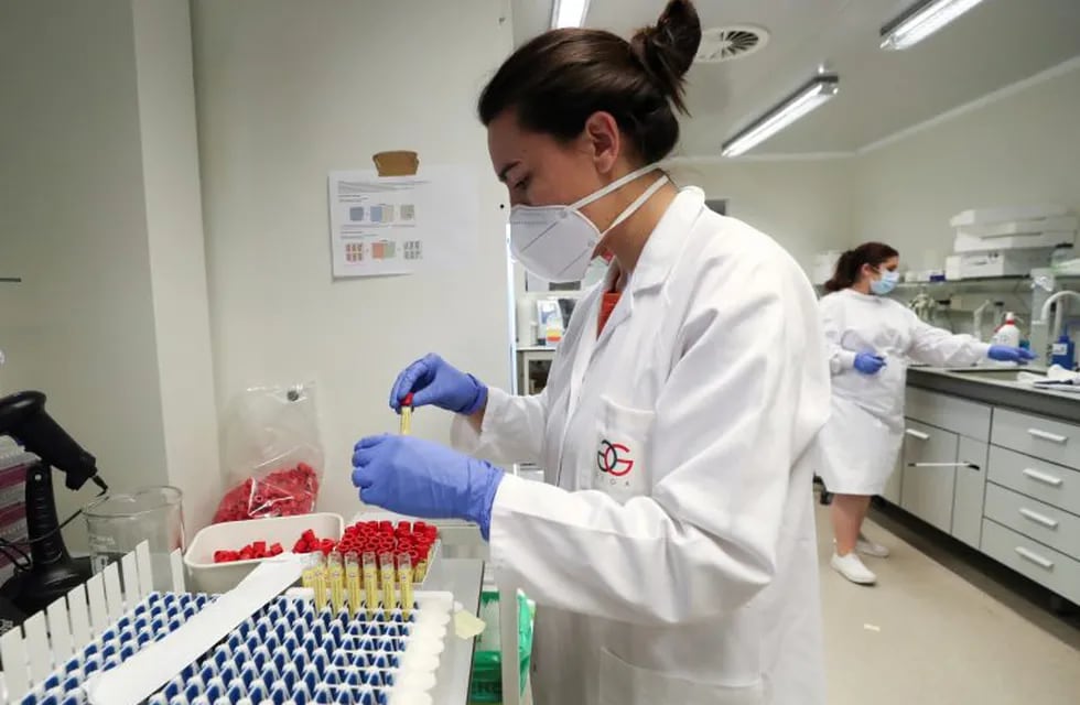 A laboratory worker checks PCR tests for the coronavirus disease (COVID-19) at the University of Liege, Belgium August 12, 2020. According to the university, the test allows thousands of additional tests to be performed every day. Picture taken August 12, 2020. REUTERS/Yves Herman