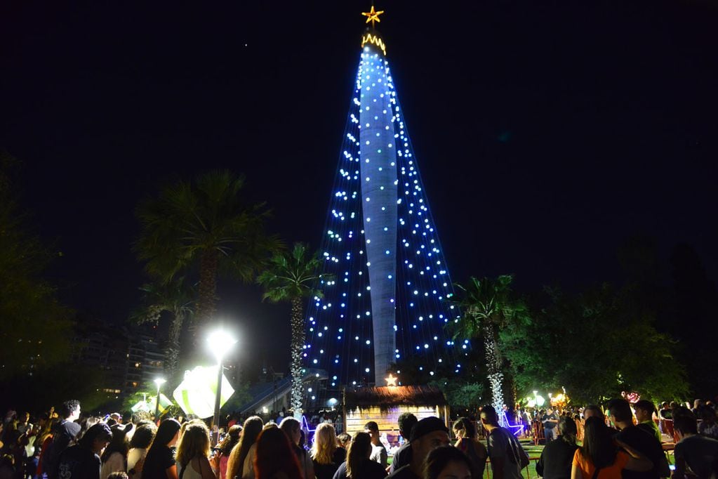 El árbol de navidad más grande de Córdoba y Sudamérica, ubicado en el parque Sarmiento de la Capital. 