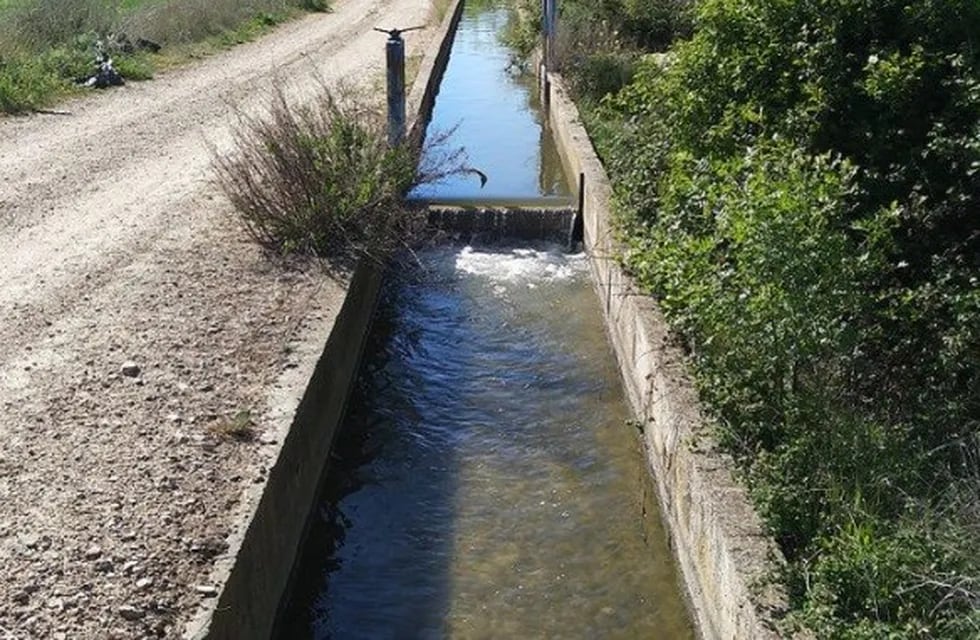Reactivaron dos consorcios de riego agrícola en Alvear. Imagen ilustrativa.