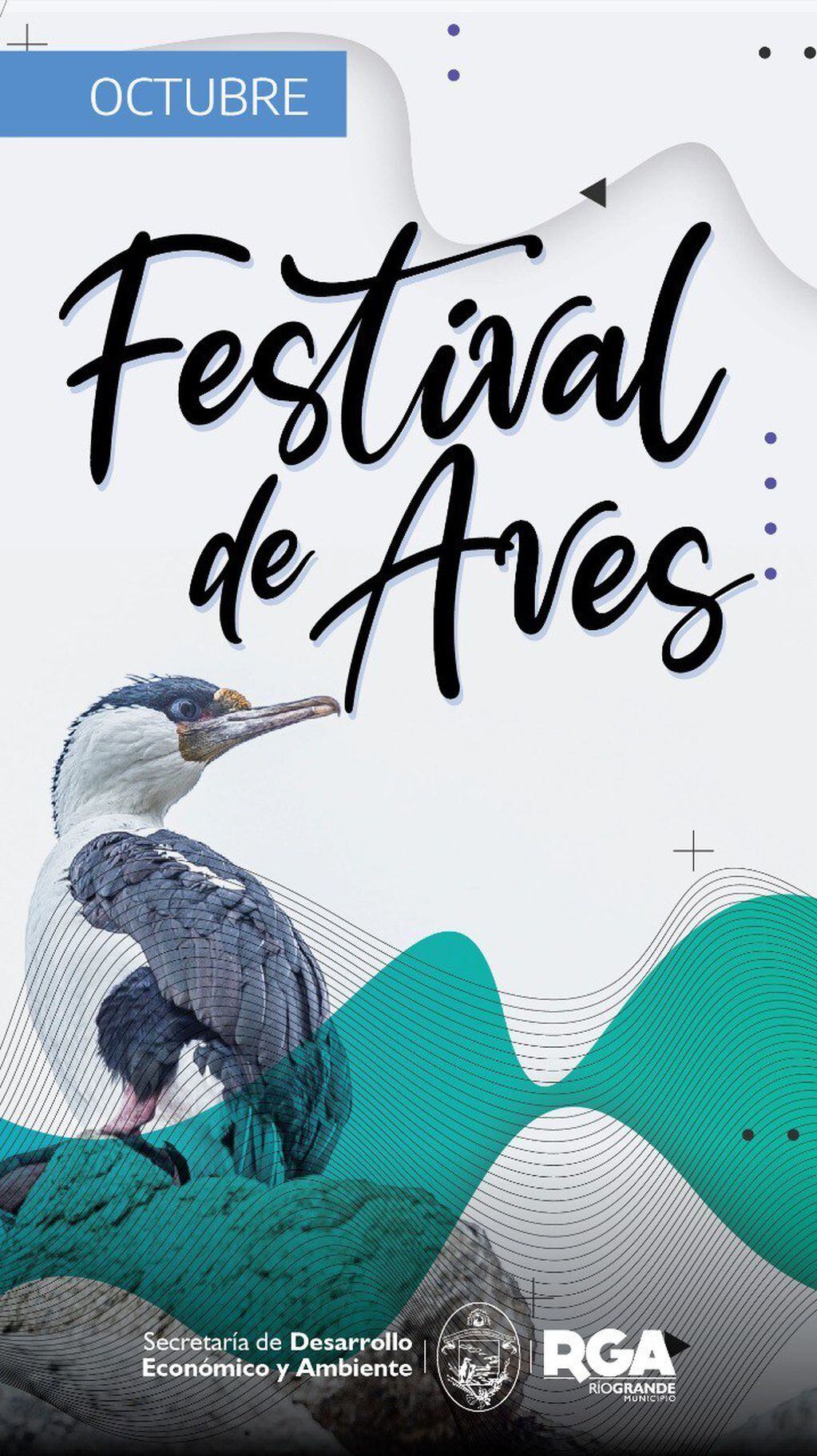 se realizará el festejo por los 12 años del “Festival de Aves”