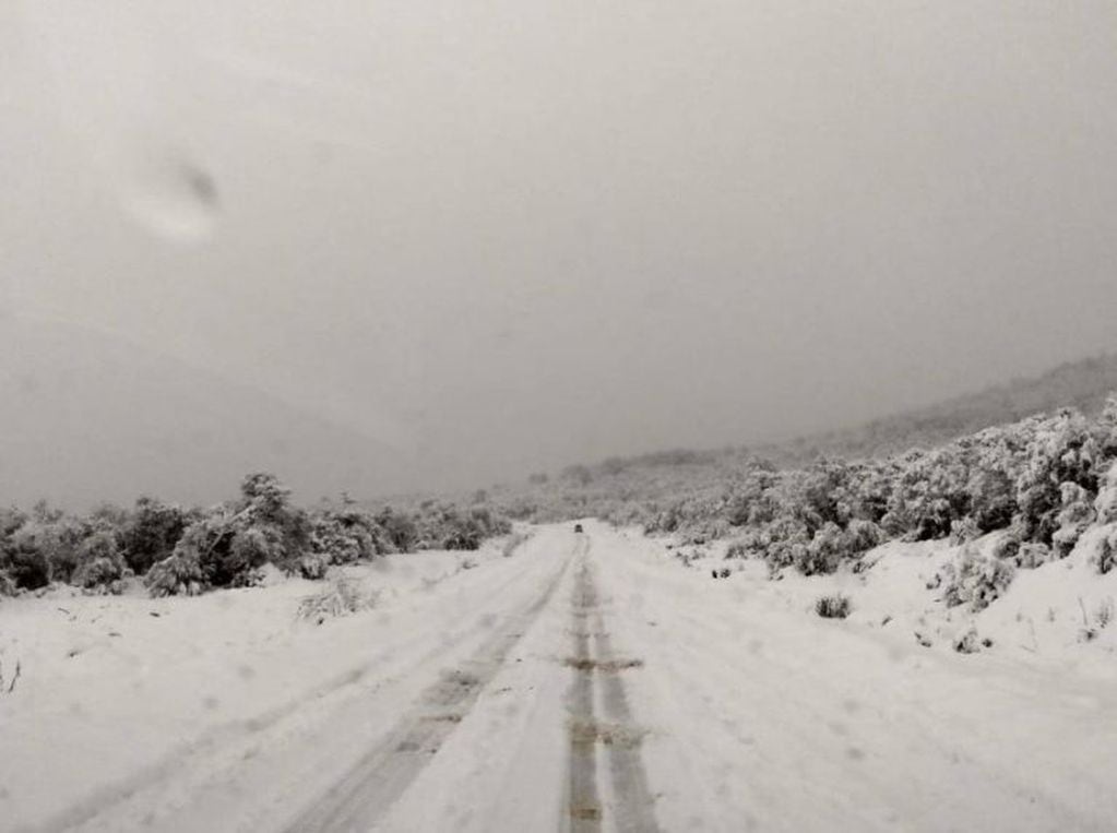 Fuerte nevada en Bariloche (Foto: Twitter)