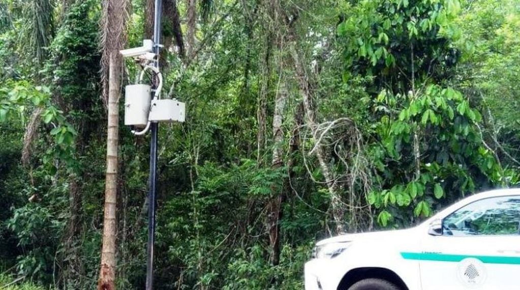 Colocaron radares de velocidad sobre rutas del Parque Nacional Iguazú. (Foto: Misiones Online)