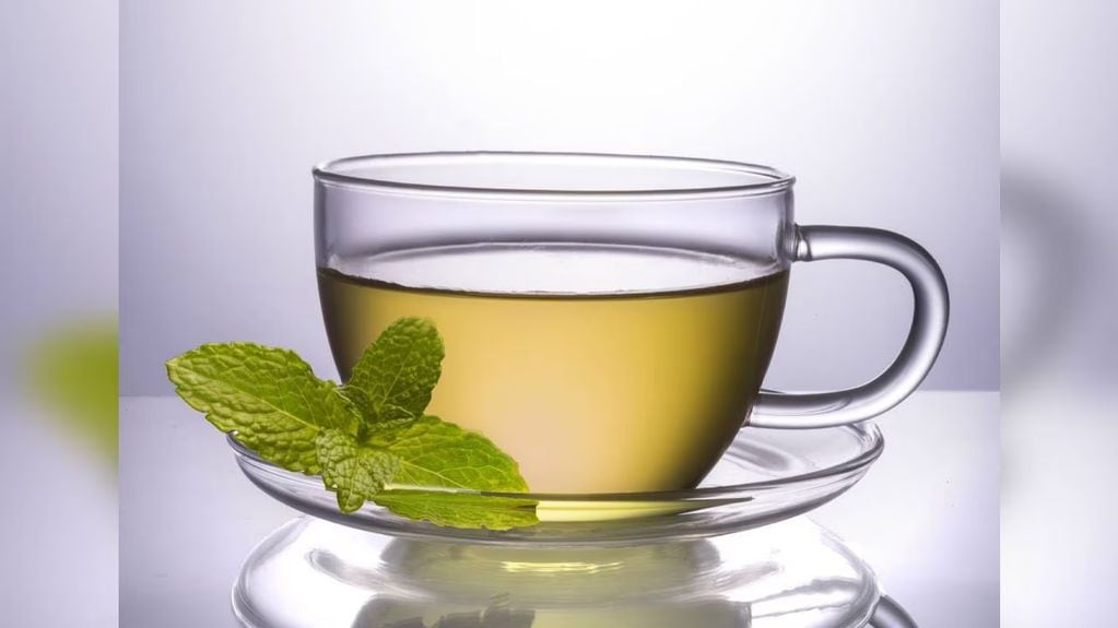 Cuáles son los beneficios y secretos de tomar el té de boldo