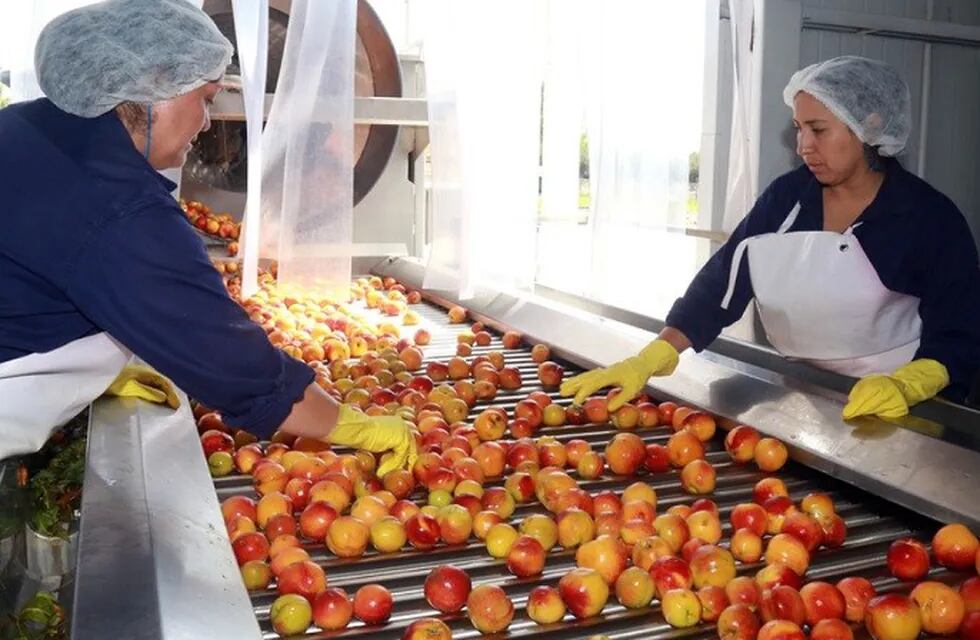 Está en marcha la primera pulpera estatal de Mendoza ubicada en el Parque Industrial de Cuadro Nacional, donde se agruparon las cooperativas La Línea y Fruderpa.