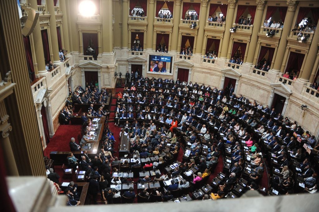 El Congreso de la Nación. Foto: Federico López Claro.